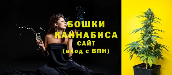 прущие грибы Верхний Тагил
