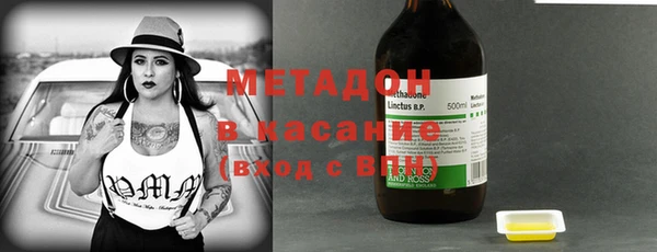 прущие грибы Верхний Тагил