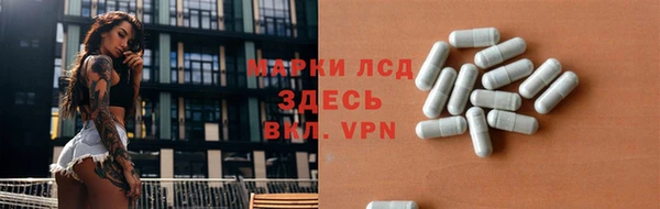прущие грибы Верхний Тагил