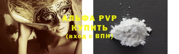 прущие грибы Верхний Тагил
